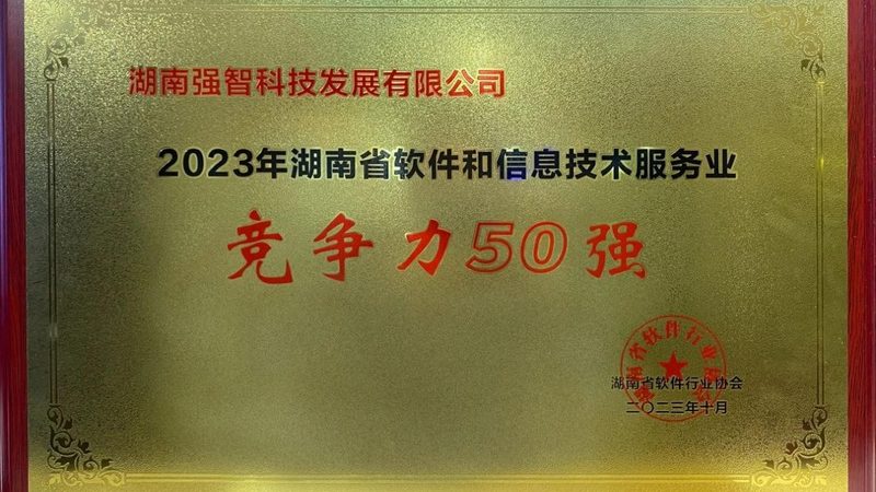 小标题：IT咨询行业背景