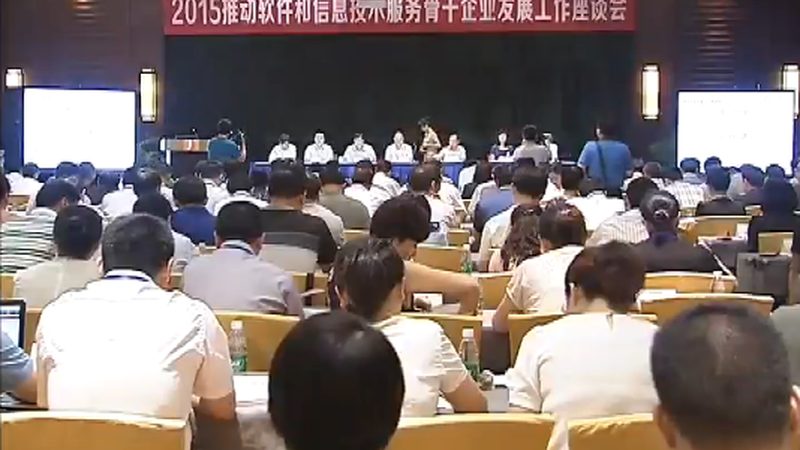 信息技术公司注册流程解析：关键步骤与费用考量**
